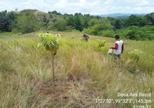 asahan barumun