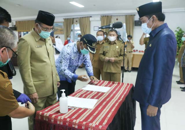 Bupati taput