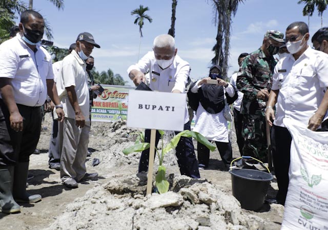 Bupati