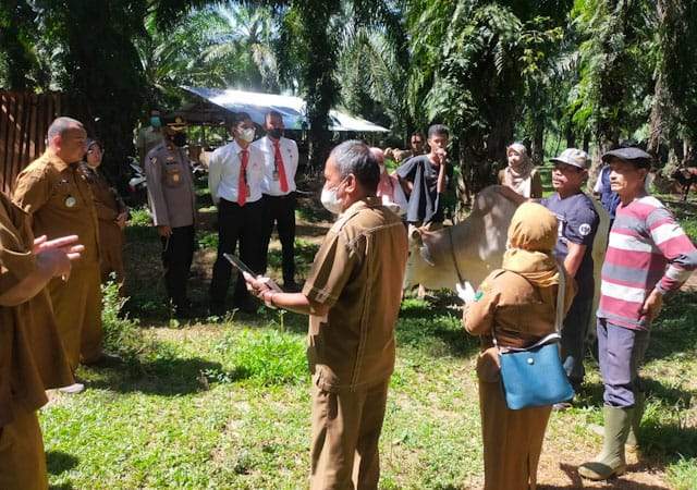 Cek