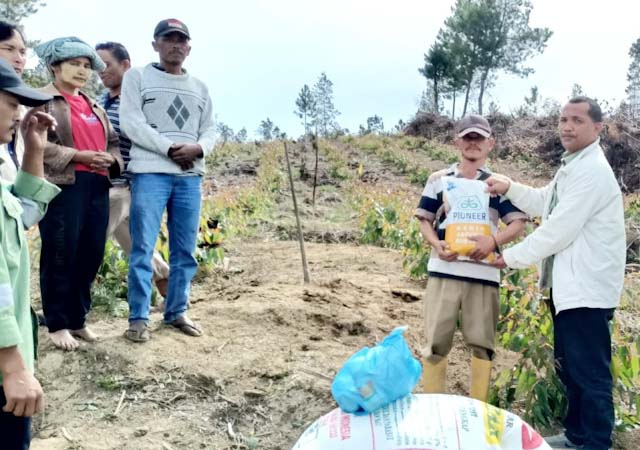 Toba Pulp Lestari Sektor Aek Raja Laksanakan Program Intercrop Eukaliptus Aek Raja