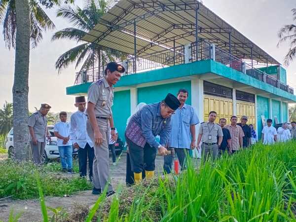 Gemapatas