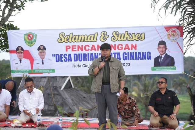 Pohon