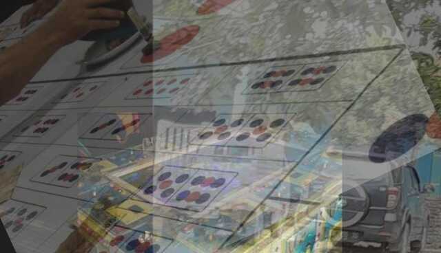 Dadu