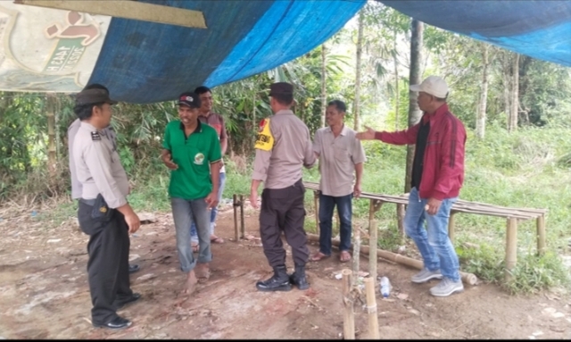Sabung Ayam