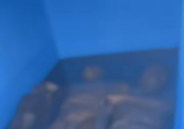 unpri