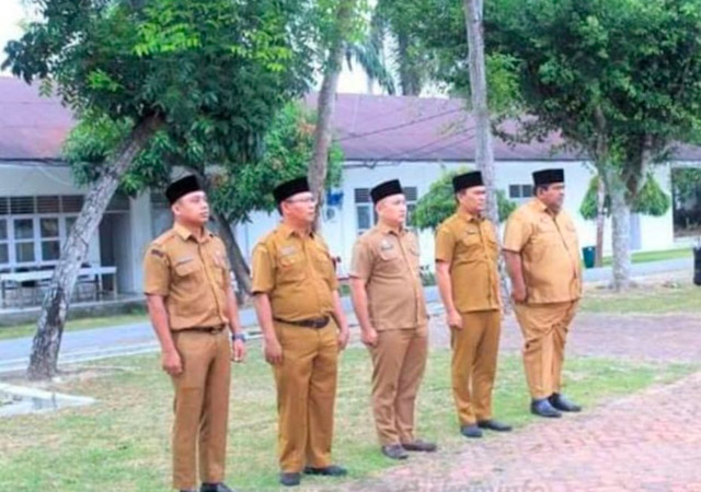 plt