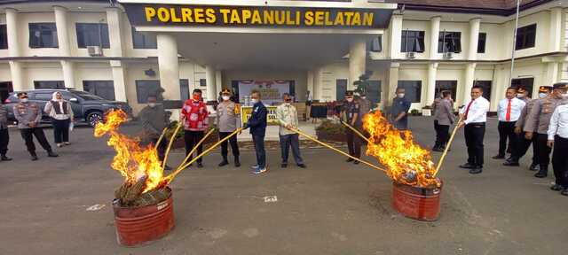Tapsel