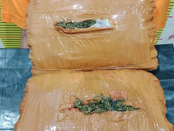 Ganja