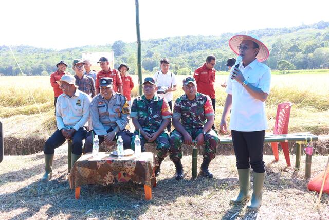 Bupati 