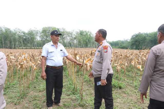 Simalungun