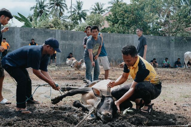 Idul Adha 