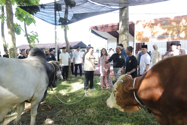 Sumut
