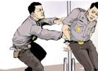 Polisi